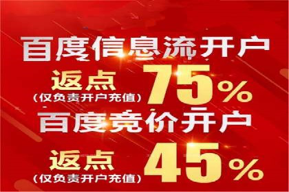 案例分析：SEM托管服务助力电商销量倍增